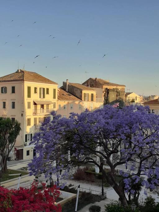 Old Town Corfu Romantic Studio Manto Nymfes Apartman Kültér fotó