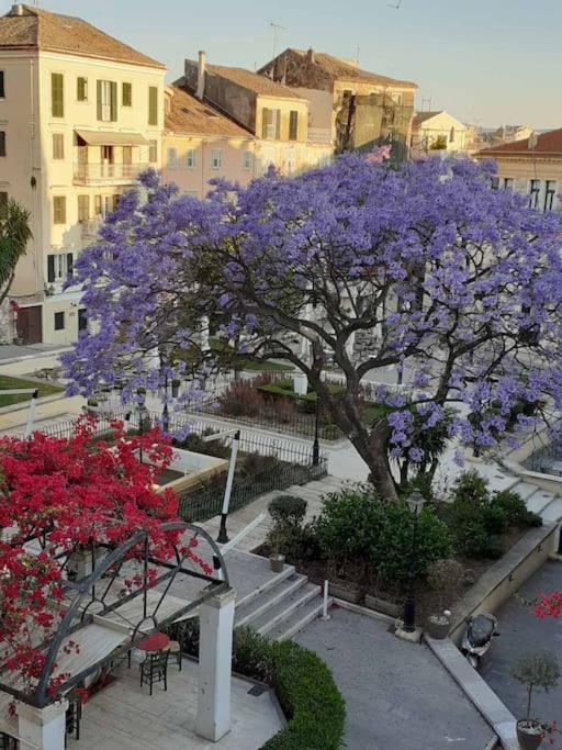 Old Town Corfu Romantic Studio Manto Nymfes Apartman Kültér fotó