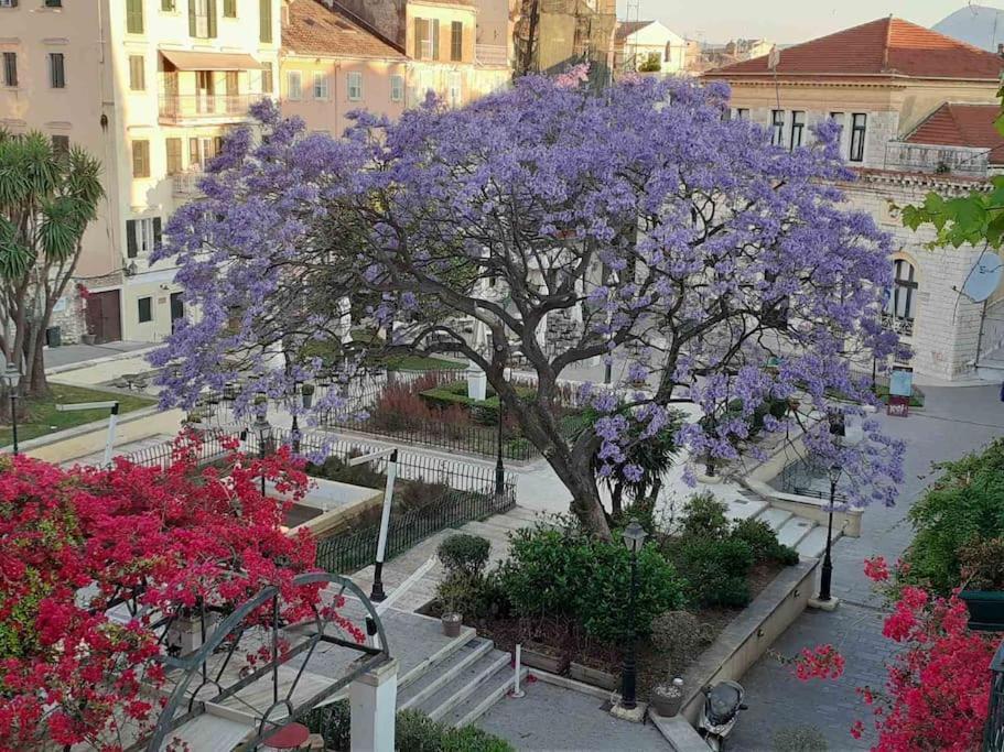 Old Town Corfu Romantic Studio Manto Nymfes Apartman Kültér fotó