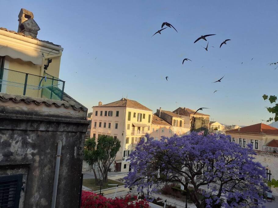 Old Town Corfu Romantic Studio Manto Nymfes Apartman Kültér fotó